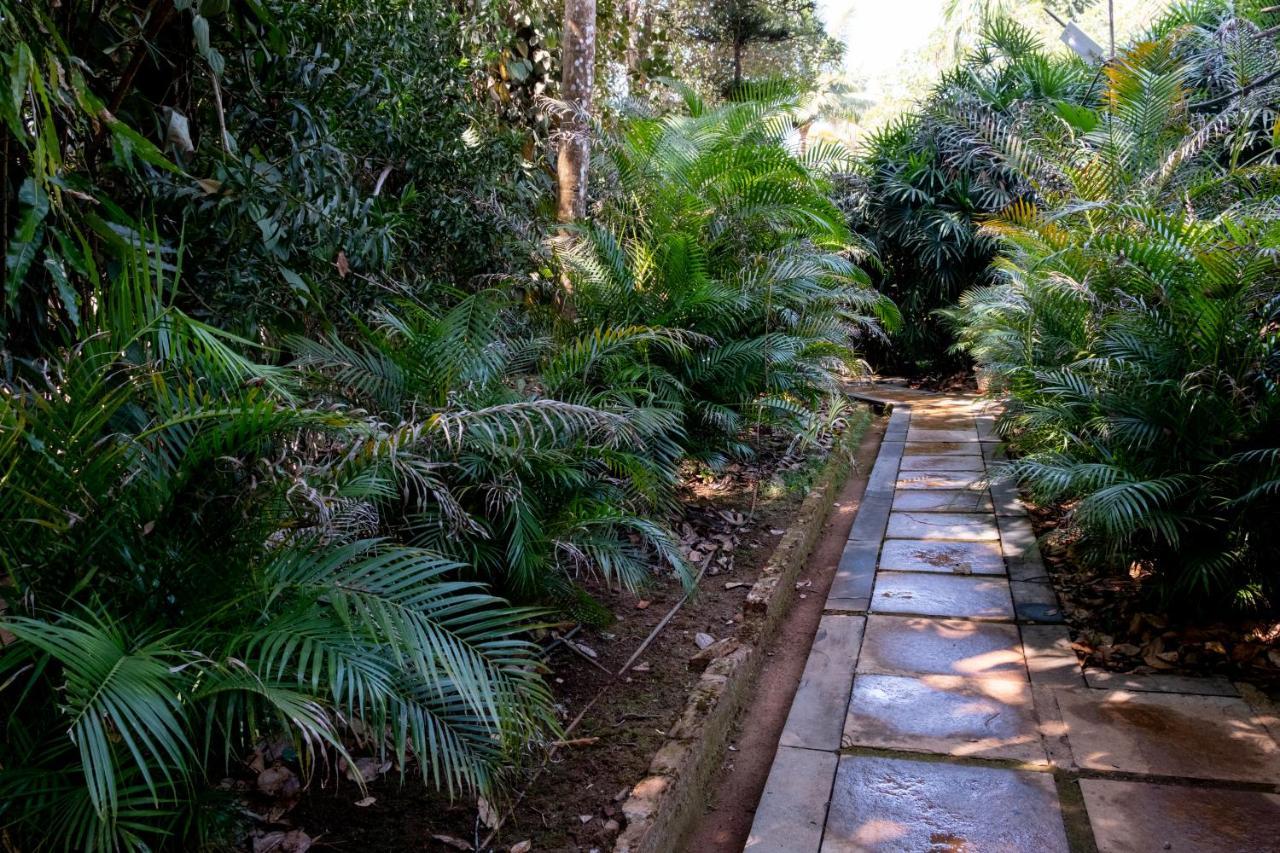 Mangaal Farmstay Goa Vichondrem Exterior foto